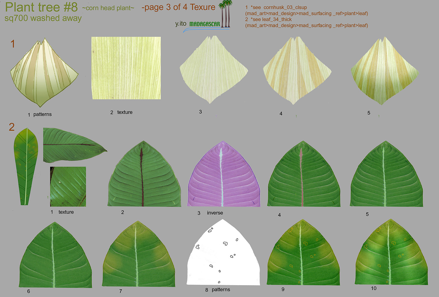 『マダガスカル』植物のテクスチャ資料