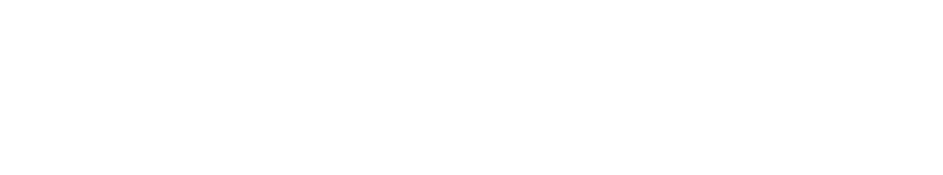soiful logo